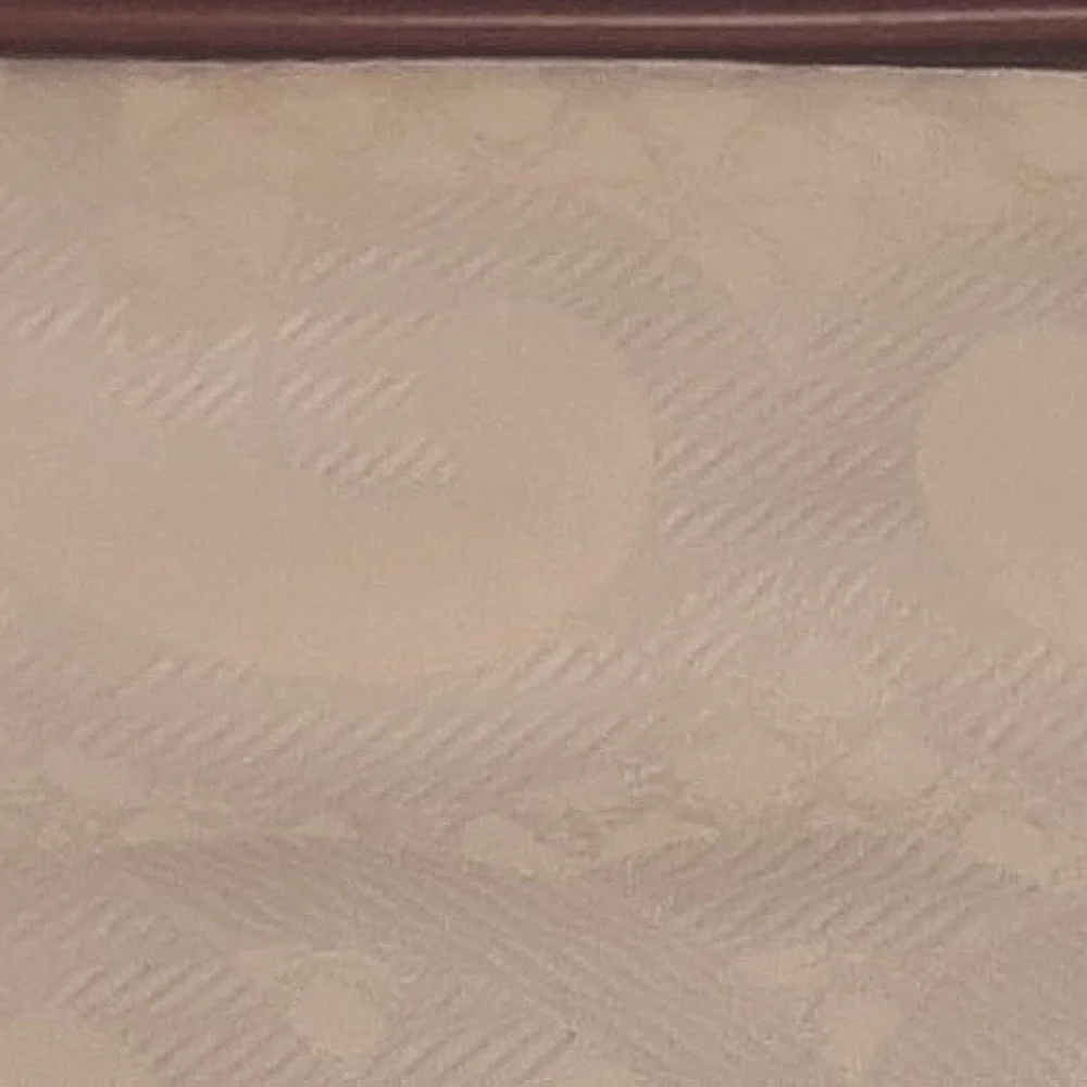 💤FRETTE | Pillow Shams💤
